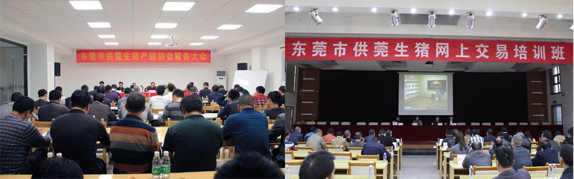 東莞市菜籃子,生豬網(wǎng)上交易,生豬網(wǎng)上交易及溯源平臺